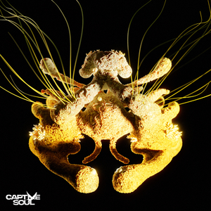 自动化图片小蛙导航
