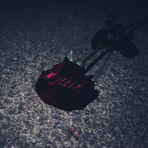 自动化图片小蛙导航
