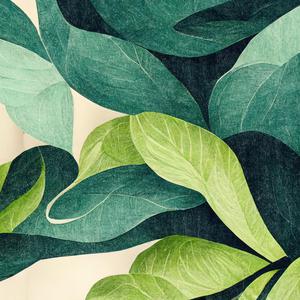 自动化图片小蛙导航
